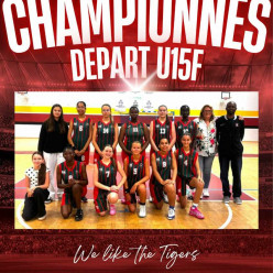Champion DFU15